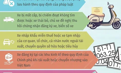 8 trường hợp thu hồi chứng nhận đăng ký, biển số xe