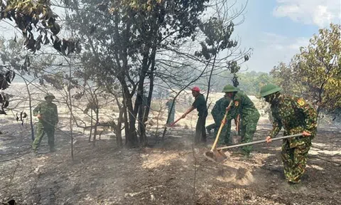 Thừa Thiên-Huế: Cháy rừng phòng hộ, khoảng 7,5ha bị thiệt hại