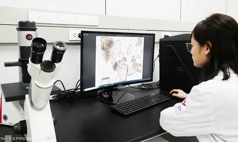 Tăng giá trị cho dược liệu của Việt Nam