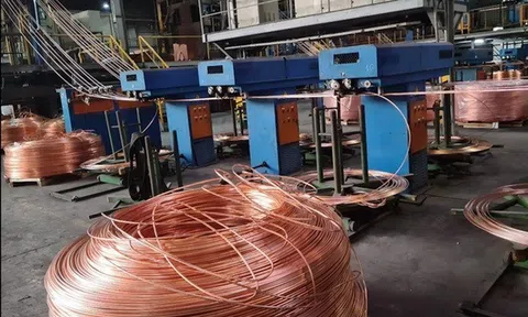 Chuyển hồ sơ công ty LIOA Đồng Nai sang cơ quan công an điều tra dấu hiệu trốn thuế