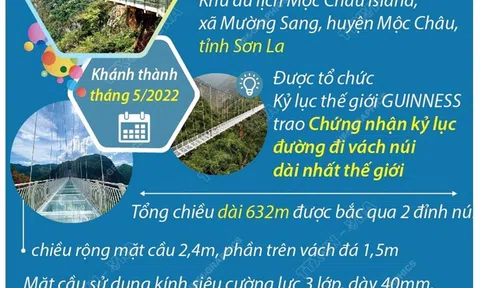 Tìm hiểu thông tin về bốn cây cầu kính ở Việt Nam