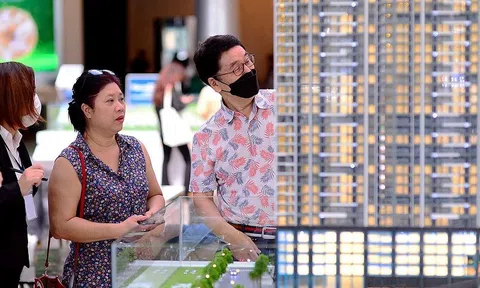 Chính phủ yêu cầu báo cáo việc thành lập sàn giao dịch bất động sản, đất đai trong tháng 8