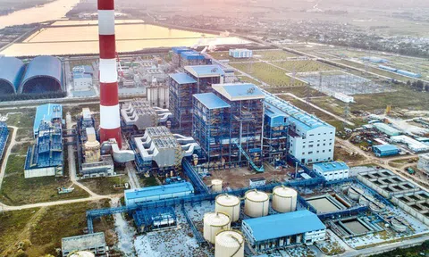 Phế thải 3 năm của một nhà máy ở Thái Bình được nhiều người tranh mua, giá bán lên tới 190 tỷ đồng