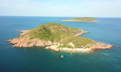 Vì sao Bình Định chấm dứt hoạt động dự án Khu du lịch biển Casa Marina Island?