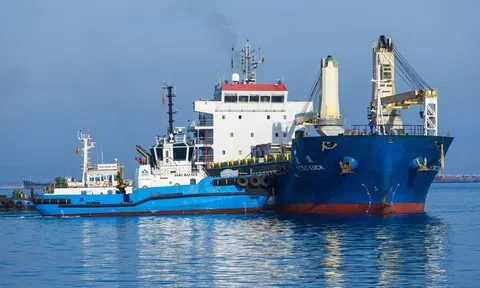 Sau 1 năm khởi công, dự án cảng container “ngốn” hơn 3.700 tỷ của Hòa Phát chính thức hoạt động bến đầu tiên