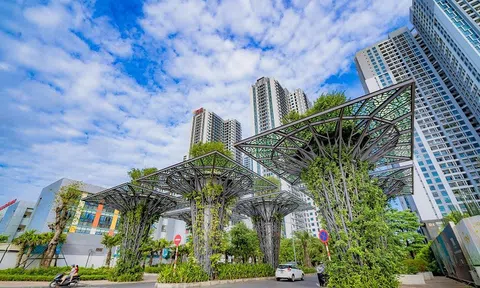 TNR Holdings của đại gia Nguyệt Hường báo lãi tăng gấp 3 lần 6 tháng đầu năm, nợ phải trả hơn 19.000 tỷ đồng