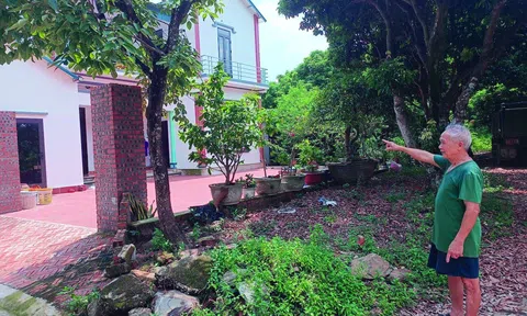 Tránh bẫy “hợp đồng giả cách”