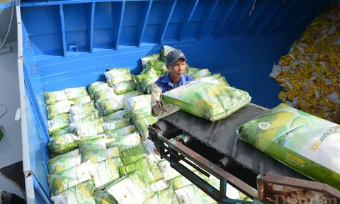 Giá xuất khẩu gạo Việt “đắt” nhất thế giới: Vừa mừng vừa lo!