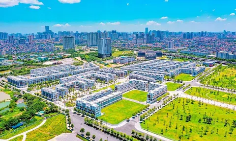 Bitexco thông tin về việc bị thu hồi gần 5,3ha đất tại The Manor Central Park