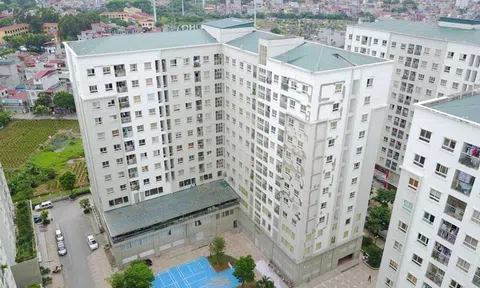 Sẽ thu hồi lại nhà ở xã hội đã bán nếu phát hiện hành vi kê khai thông tin không đúng sự thật