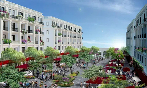 Thu hồi nợ xấu, Agribank hạ giá một phần dự án Hoàng Hải Complex của Tân Hoàng Minh