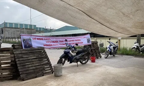 Vụ xả thải của Nhà máy gạch ở Vĩnh Phúc: Làm rõ vi phạm về môi trường