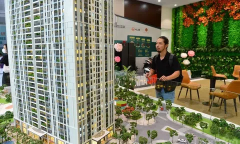 Lập sàn giao dịch quyền sử dụng đất: Minh bạch thông tin, trị “sốt đất” ảo