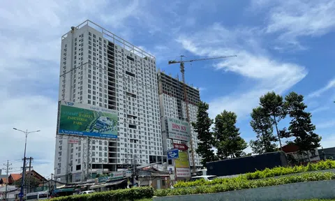 Kết luận thanh tra chung cư Roxana Bình Dương, công ty nào phải chịu trách nhiệm tiếp tục triển khai dự án?