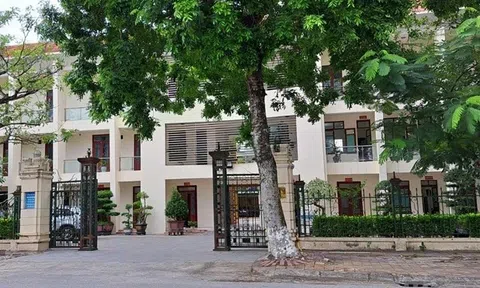 Tạm đình chỉ công tác Phó Giám đốc Sở; Giám đốc, Phó Giám đốc Trung tâm thể dục thể thao