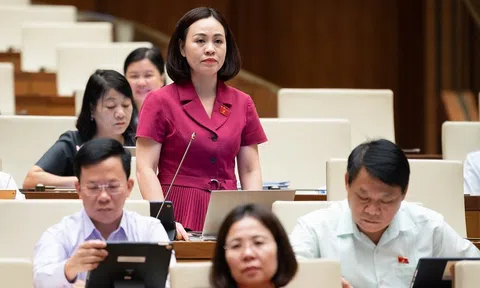 Đầu nậu “diễn trò”, đề xuất vạch rõ dấu hiệu thao túng, làm nhiễu loạn thị trường bất động sản