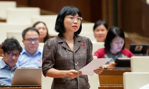 Dự thảo Luật Đất đai (sửa đổi): Quy định về khái niệm chiếm đất chưa rõ ràng
