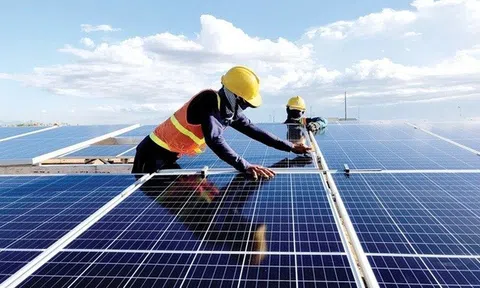 Một số điểm mới đáng chú ý trong dự thảo Thông tư giá điện gió, điện mặt trời