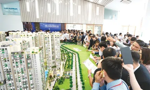 TP.HCM yêu cầu rà soát 25 doanh nghiệp thành lập sàn giao dịch bất động sản