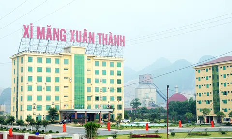 Xi măng Xuân Thành của em trai bầu Thụy kinh doanh ra sao?
