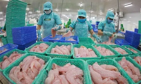 Hàng Việt Nam có nhiều tiềm năng tiến vào thị trường Canada