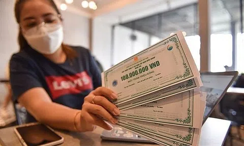 Bất ngờ với kết quả kinh doanh của doanh nghiệp bất động sản có 5 nhân viên, vừa phát hành 4.700 tỷ đồng trái phiếu