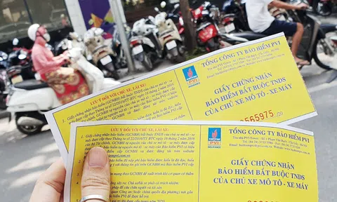 Điều kiện, mức phí bảo hiểm bắt buộc trách nhiệm dân sự của chủ xe cơ giới