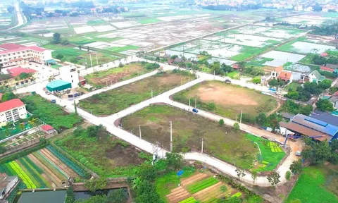 Thông tin gần 200 lô đất ven Hà Nội sắp được đưa ra đấu giá