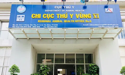 Khởi tố vụ án hình sự "Buôn lậu", "Đưa hối lộ", "Nhận hối lộ" xảy ra tại Công ty Hoàng Sa, Chi cục Thú y vùng VI và Trạm kiểm dịch động vật cảng - bưu điện