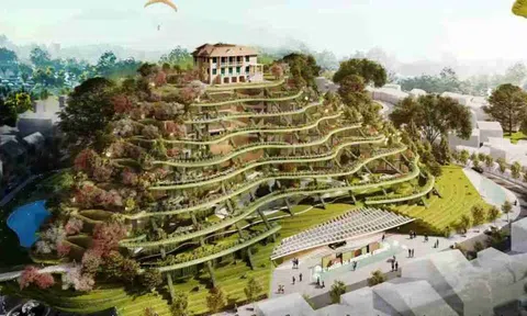 Lâm Đồng loại dinh Tỉnh trưởng hơn 110 năm tuổi ra khỏi nhóm bảo tồn nghiêm ngặt