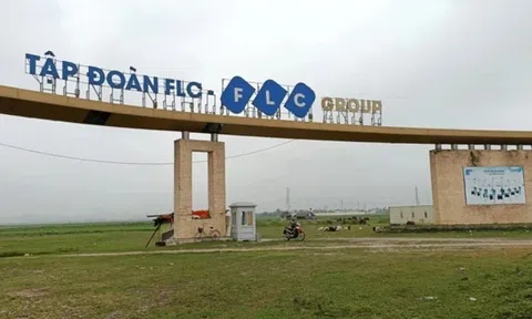 Thủ tướng kỷ luật lãnh đạo, nguyên lãnh đạo UBND tỉnh Thanh Hoá liên quan đến sai phạm của FLC, AIC