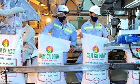 Lợi nhuận của DCM sẽ phục hồi nhờ thiếu hụt nguồn cung?