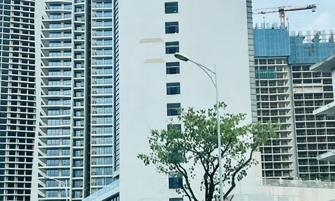 Hà Nội sẽ tiến hành thanh tra các đơn vị quản lý nhà