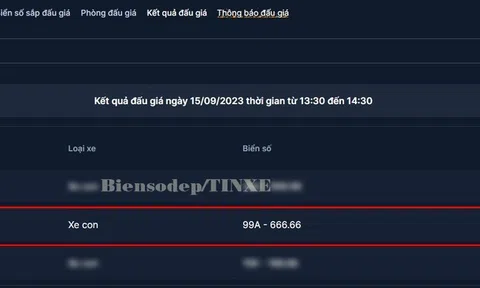 "Nóc nhà bật đèn xanh", đại gia Ninh Hiệp nộp đủ 4,23 tỷ đồng tiền trúng đấu giá biển số 99A-666.66