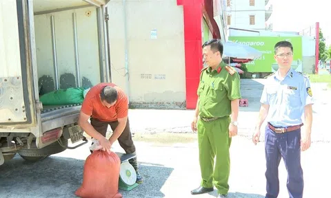 Phát hiện hơn 300 kg sản phẩm động vật không rõ nguồn gốc xuất xứ