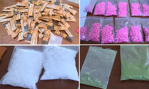 Công an thành phố Thanh Hoá triệt xoá đường dây mua bán trái phép chất ma tuý liên tỉnh