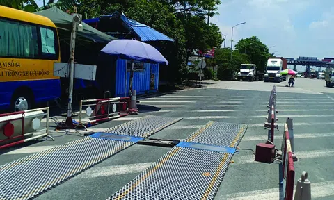 Vụ đúng tải trọng, sai tải trục tại Hải Phòng: Doanh nghiệp khởi kiện Thanh tra