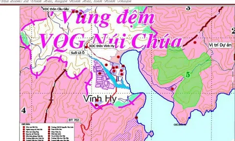 Dự án nghỉ dưỡng cao cấp của Syrena Việt Nam tác động đến 12ha rừng Vườn quốc gia Núi Chúa