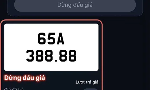 Một biển ôtô số đẹp phải dừng đấu giá đột ngột chưa rõ nguyên nhân