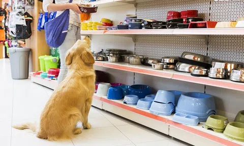 Sản phẩm nào phải thực hiện đăng ký chất lượng?