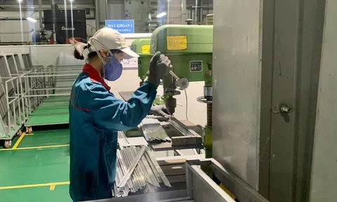 Hà Nội chú trọng phát triển đảng trong doanh nghiệp ngoài Nhà nước