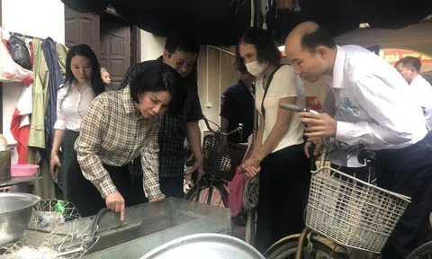Đẩy mạnh kiểm tra công tác phòng chống sốt xuất huyết