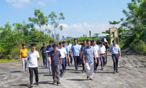 Hải Phòng: Phát hiện hàng loạt sai phạm trong quản lý, sử dụng đất