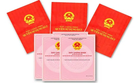 TAND Tối cao giải đáp vướng mắc xét xử liên quan đến tài sản thế chấp là quyền sử dụng đất nông nghiệp