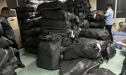 Tạm giữ trên 4.000 đôi giày dép có dấu hiệu giả mạo nhãn hiệu