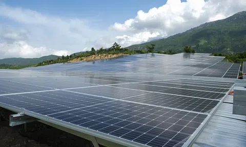 Cảnh báo một số sản phẩm có nguy cơ bị điều tra phòng vệ thương mại