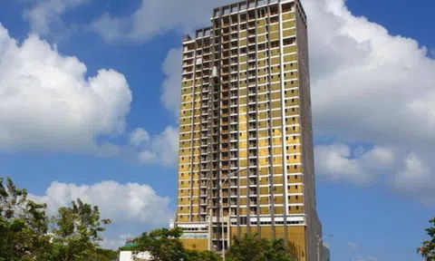 Đà Nẵng xử phạt hai doanh nghiệp thực hiện dự án không đúng tiến độ