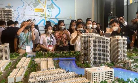 TP.HCM kiểm tra pháp lý hơn 81 sàn giao dịch bất động sản