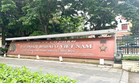 Giá lợn hơi giảm sâu, Dabaco mất 94% lợi nhuận