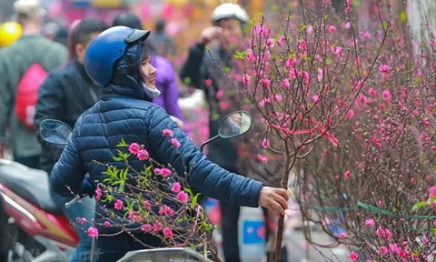 Trình Chính phủ phương án nghỉ Tết Âm lịch và Lễ Quốc khánh năm 2024